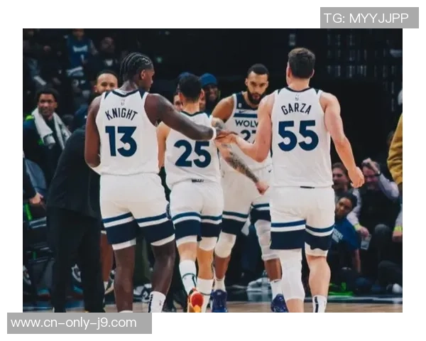 2018年12月20日森林狼对阵活塞精彩录播回顾与分析